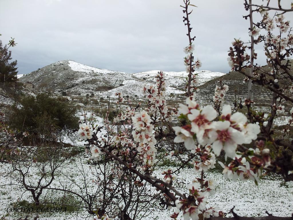 Cortijo Claudia Taberno Exterior foto
